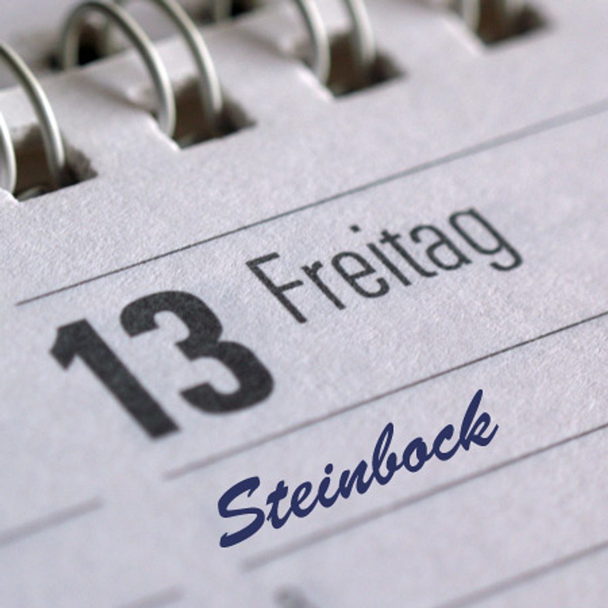 freitag der steinbock