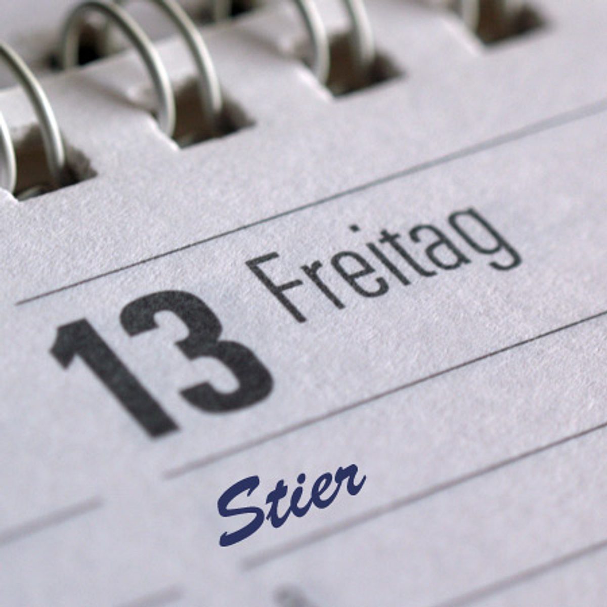 freitag der stier