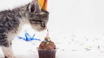 Das große Geburtstags-Horoskop für die Woche vom 3. bis 9. Juni 2024 - Foto: Jenae Escobar / iStock