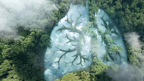 Darstellung eines Sees in Form einer grünen Lunge - Foto: Petmal / iStock