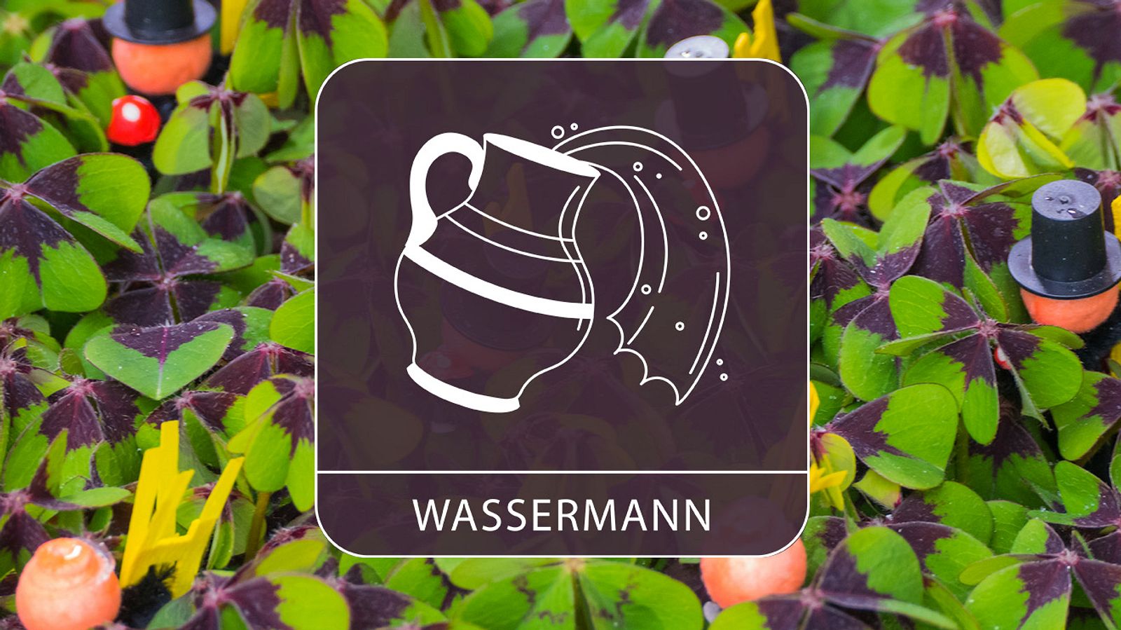 Die Glückstage des Monats für das Sternzeichen Wassermann im Januar