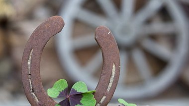 Hufeisen mit vierblättrigen Kleeblättern - Foto: iStock/diephosi