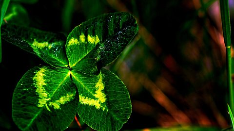 Ihre persönlichen Glücksbringer für die Woche vom 15. bis 21. Mai 2023 - Foto: RalfMenache/iStock