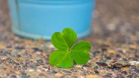 Ihre persönlichen Glücksbringer für die Woche vom 17. bis 23. Juli 2023 - Foto: jaouad.K/iStock