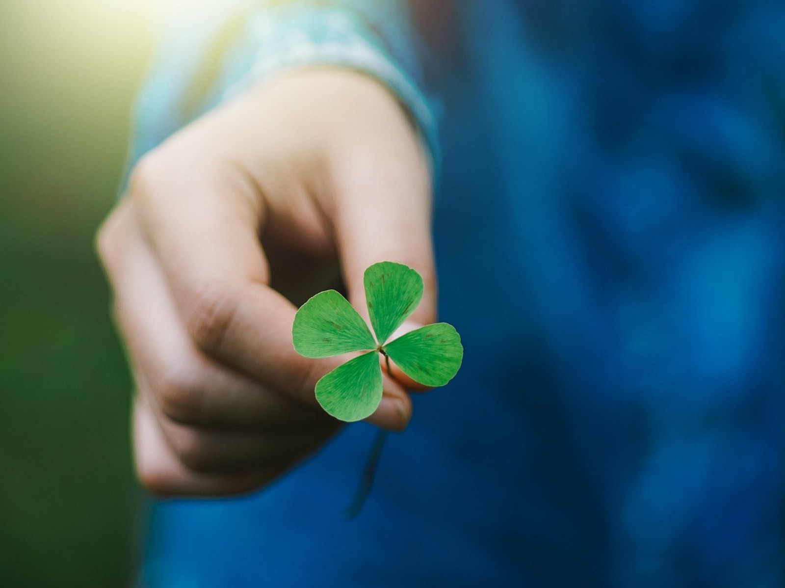 Четырёхлистный клевер на удачу. Четырехлистный клевер вектор. Зеленый клевер четырехлистный. Клевер четырехлистный с цветком. Четырёхлистный клевер символ удачи.