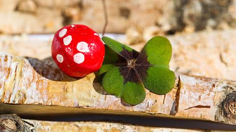 Die Glücksbringer für alle Sternzeichen für die Woche vom 20. bis 26. Mai 2024 - Foto: Anka100 / iStock