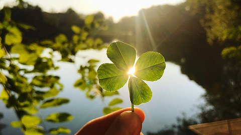 Vierblättriges Kleeblatt vor See - Foto: Kateryna Kovarzh/iStock