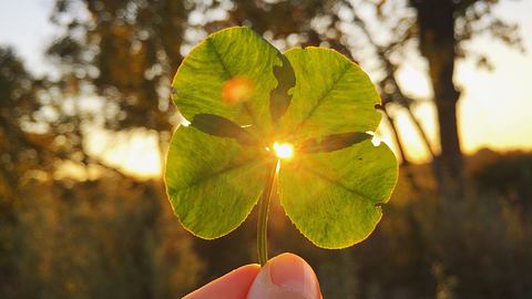 Die Glücksbringer für alle Sternzeichen für die Woche vom 24. bis 30. Juni 2024 - Foto: Kateryna Kovarzh/iStock