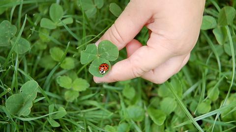 Ihre persönlichen Glücksbringer für die Woche vom 7. bis 13. August 2023  - Foto: EdeWolf/iStock