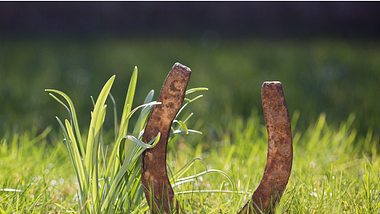 Hufeisen im Gras - Foto: iStock/diephosi