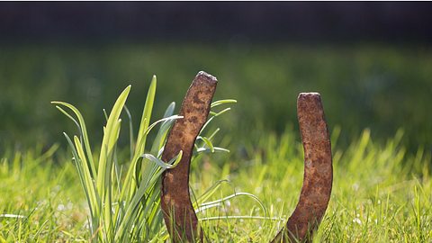 Hufeisen im Gras - Foto: iStock/diephosi