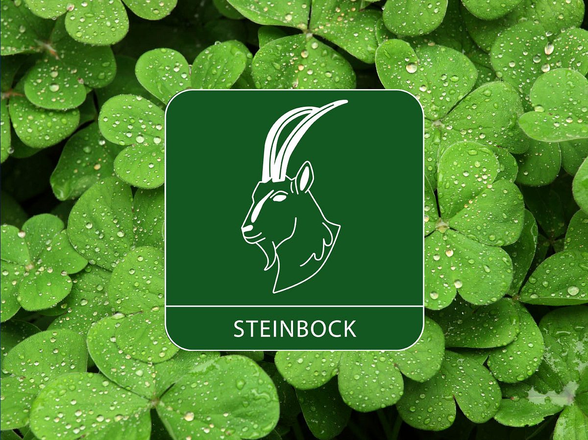 Glückstage im Februar 2023 Sternzeichen Steinbock