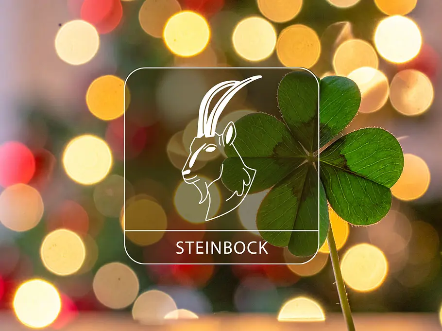 Sternzeichen Steinbock mit einem Glücksklee vor einem weihnachtlichen Hintergrund