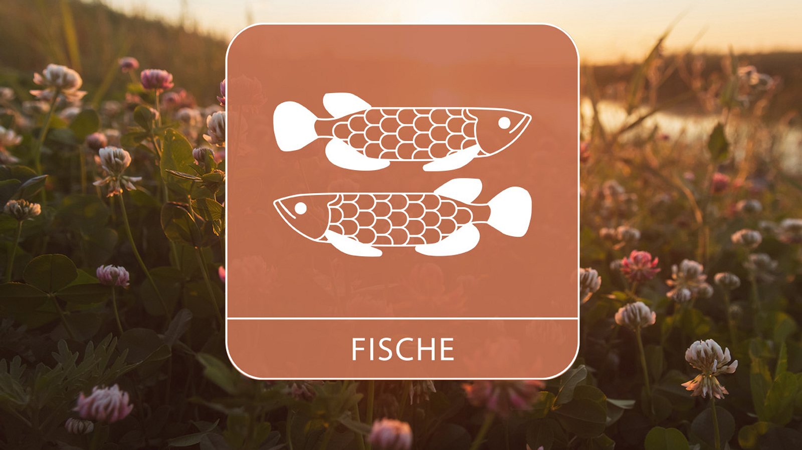 Alle Glückstage für das Sternzeichen Fische für Februar 2024 Astrowoche