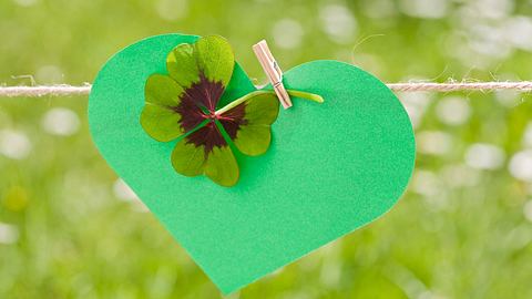Kleeblatt auf einem grünen Papierherz - Foto: diephosi/iStock
