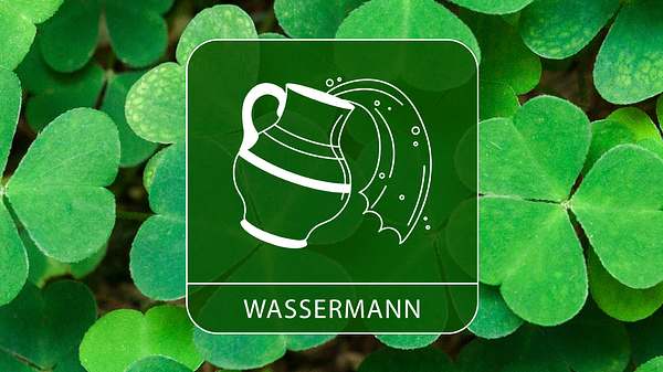 Das Sternzeichen Wassermann auf einem Kleeblatt Hintergrund - Foto: Collage mit Antonel/iStock und Astrowoche.de