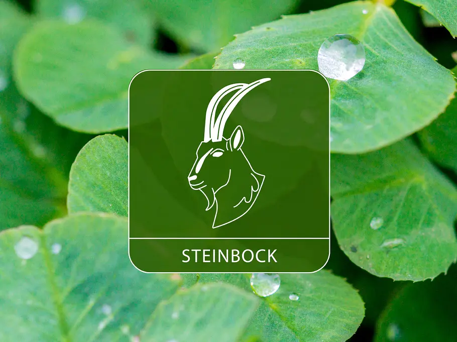 Das Sternzeichen Steinbock umgeben von Kleeblättern und Regentropfen