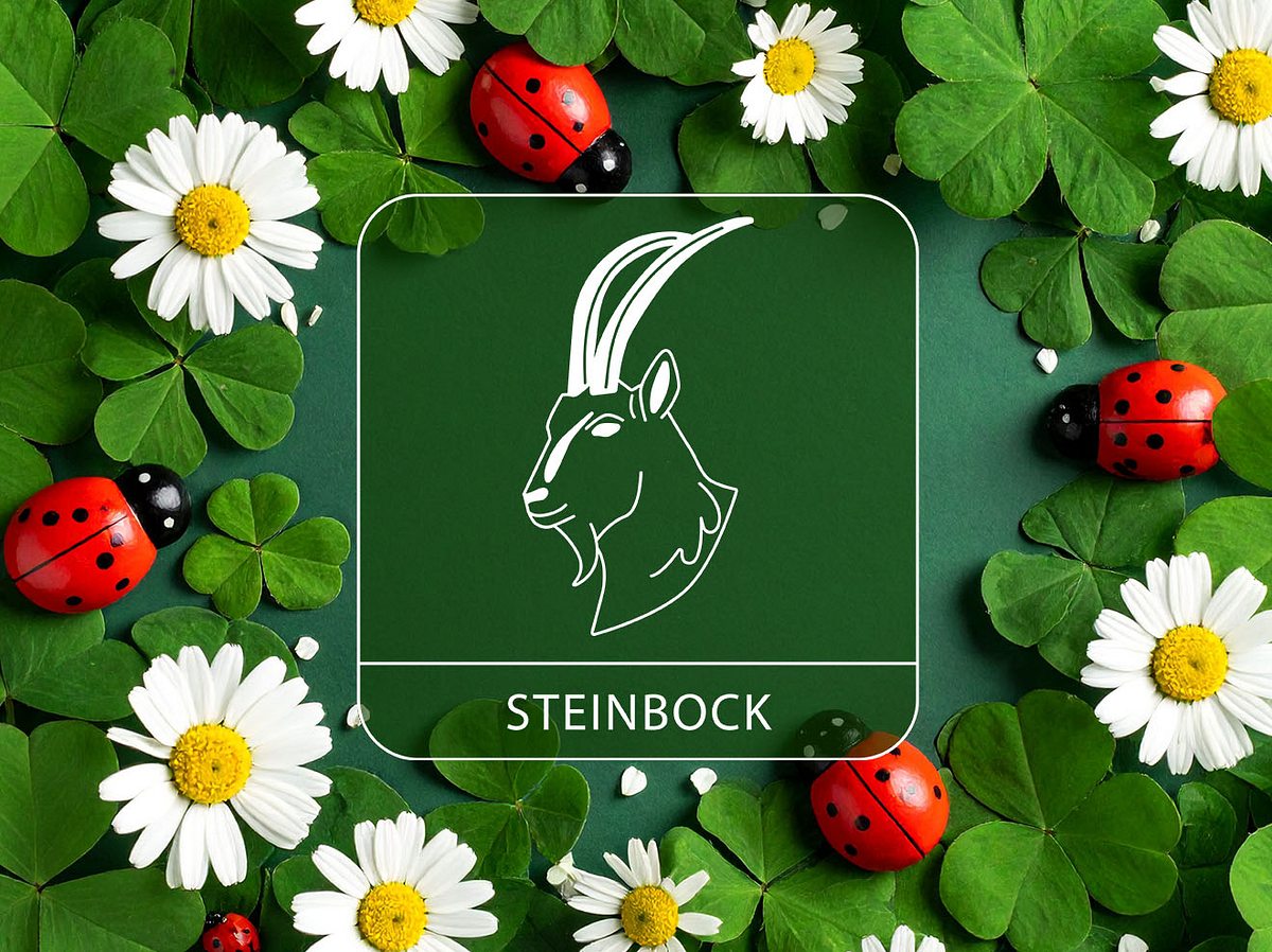 Sternzeichen Steinbock vor Glückshintergrund