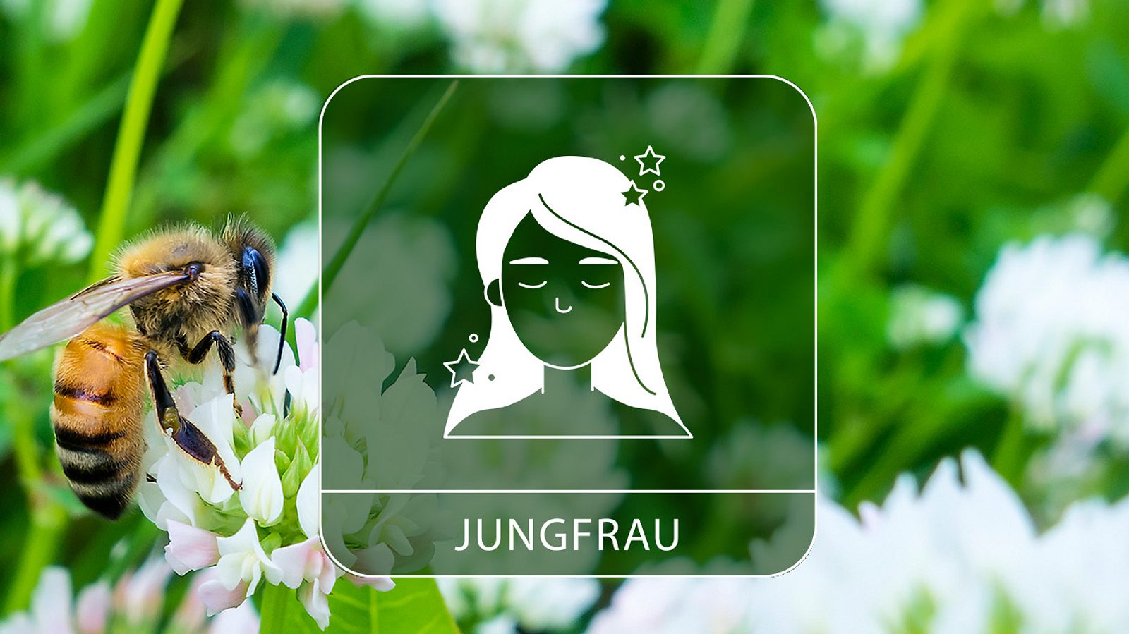 Jungfrau Juni 2024 Der Monat Der Grosen Entscheidungen Ihr Horoskop Enthullt Alles