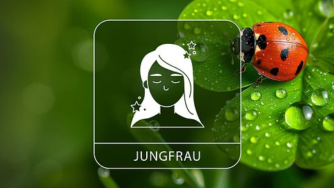 Sternzeichen Jungfrau mit Glücksklee und Glückskäfer - Foto: Collage mit StirfryMoJi / AdobeStock und Astrowoche.de
