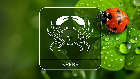 Sternzeichen Krebs mit Glücksklee und Glückskäfer - Foto: Collage mit StirfryMoJi / AdobeStock und Astrowoche.de