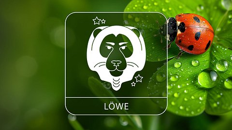 Sternzeichen Löwe mit Glücksklee und Glückskäfer - Foto: Collage mit StirfryMoJi / AdobeStock und Astrowoche.de