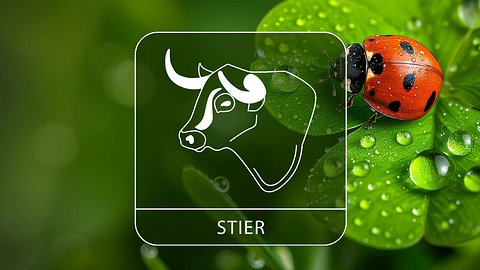 Sternzeichen Stier mit Glücksklee und Glückskäfer - Foto: Collage mit StirfryMoJi / AdobeStock und Astrowoche.de