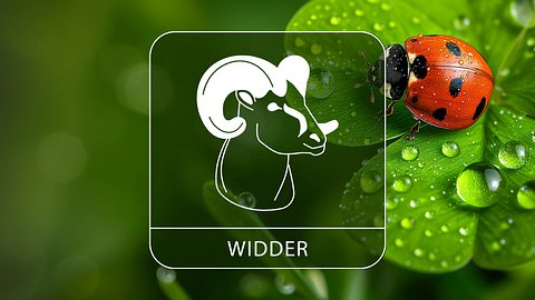 Sternzeichen Widder mit Glücksklee und Glückskäfer - Foto: Collage mit StirfryMoJi / AdobeStock und Astrowoche.de
