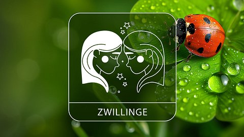 Sternzeichen Zwillinge mit Glücksklee und Glückskäfer - Foto: Collage mit StirfryMoJi / AdobeStock und Astrowoche.de