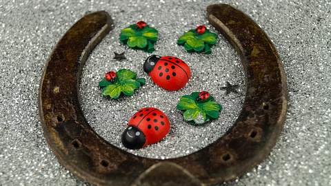 Ein Hufeisen kreist Marienkäfer und Glücksklee ein - Foto: Andreas Steidlinger / iStock