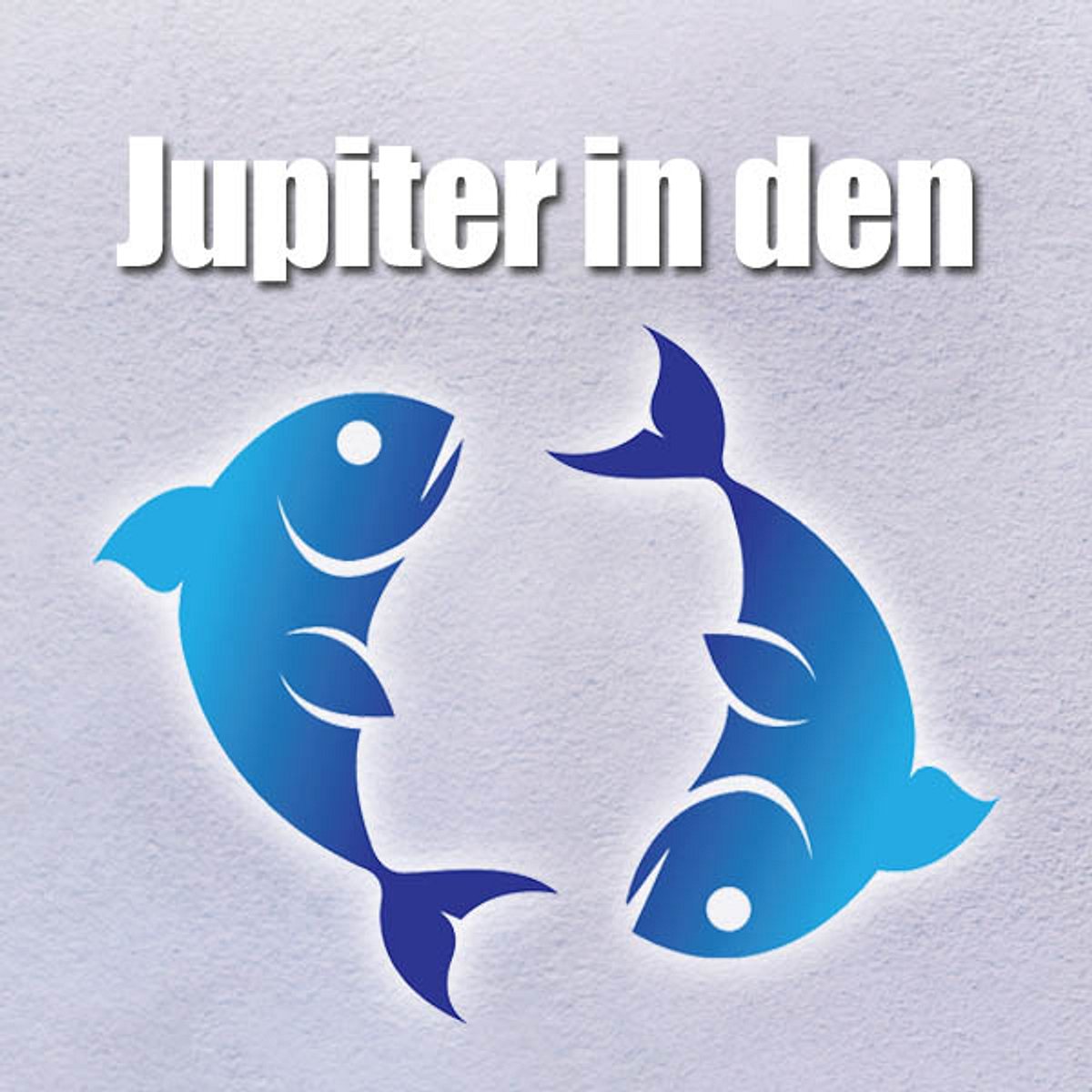 glueckstest5 fische