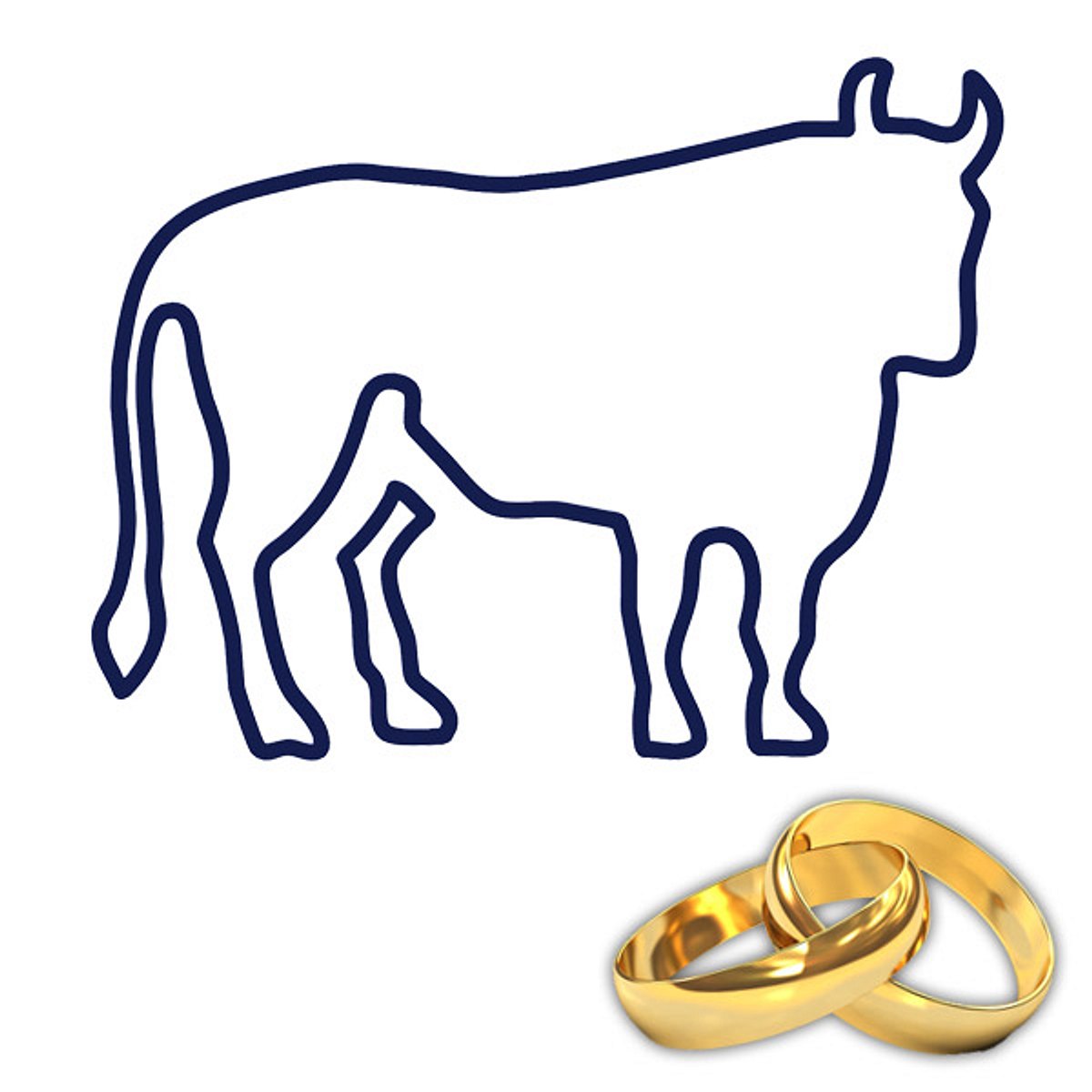 heiraten typologie stier