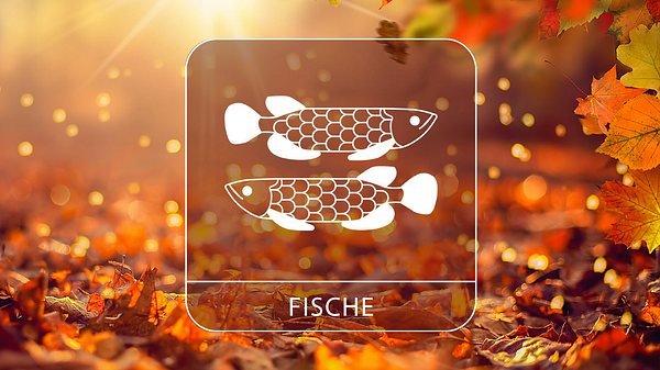 Abbildung vom Sternzeichen Fische in einem herbstlichen Umfeld - Foto: Moofushi / Adobe Stock und Astrowoche.de