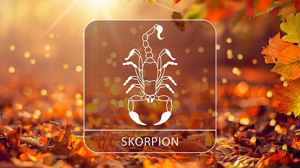 Abbildung vom Sternzeichen Skorpion in einem herbstlichen Umfeld - Foto: Moofushi / Adobe Stock und Astrowoche.de