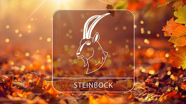 Abbildung vom Sternzeichen Steinbock in einem herbstlichen Umfeld - Foto: Moofushi / Adobe Stock und Astrowoche.de