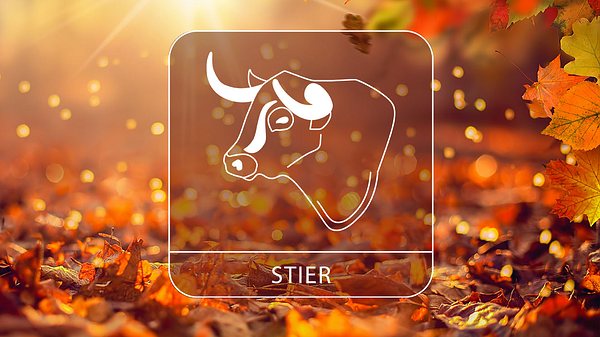 Abbildung vom Sternzeichen Stier in einem herbstlichen Umfeld - Foto: Moofushi / Adobe Stock und Astrowoche.de