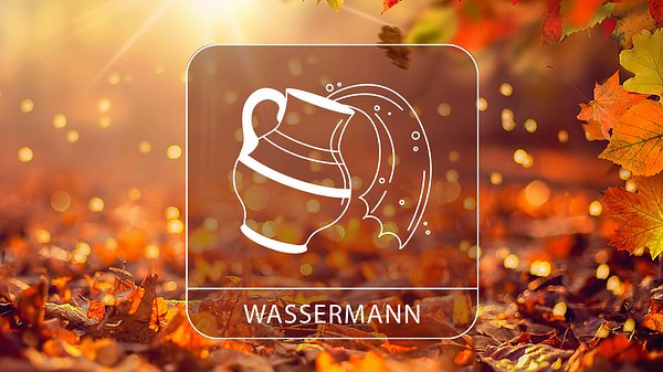 Abbildung vom Sternzeichen Wassermann in einem herbstlichen Umfeld - Foto: Moofushi / Adobe Stock und Astrowoche.de