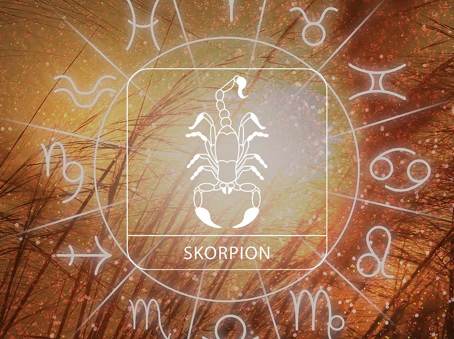 Sternzeichen Skorpion in einem Astrologie-Kreis vor einem herbstlichen Hintergrund