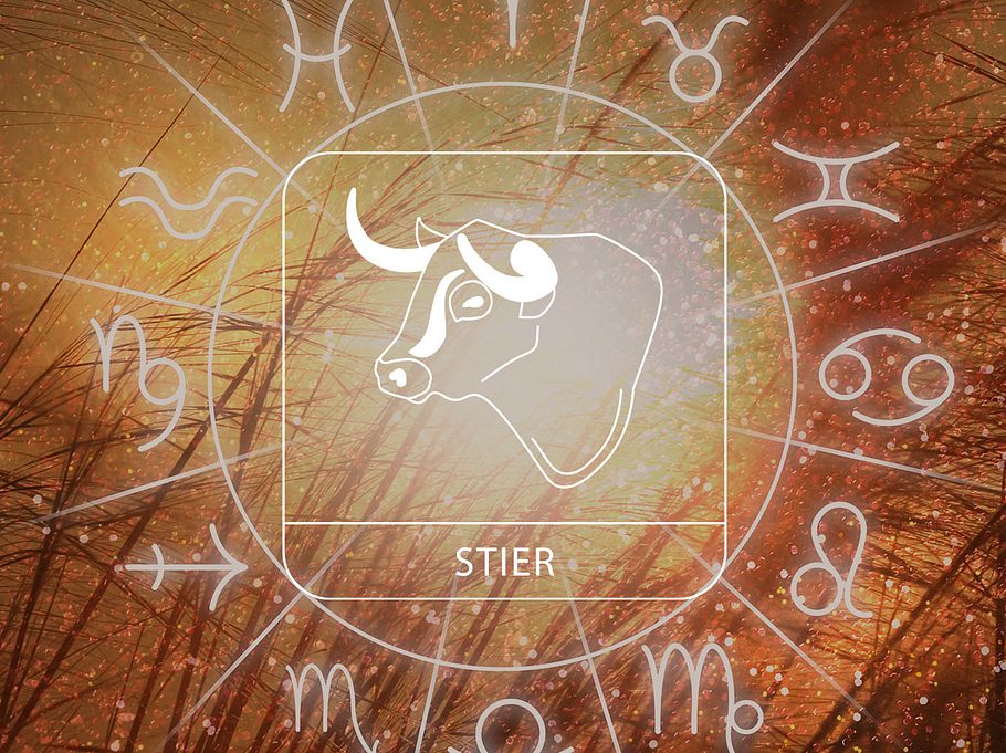Sternzeichen Stier in einem Astrologie-Kreis vor einem herbstlichen Hintergrund