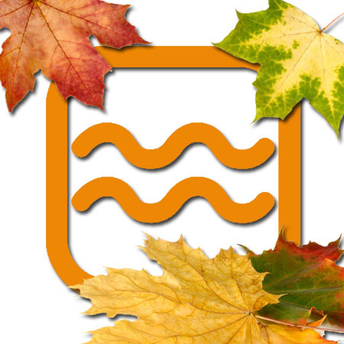 herbst horoskop wassermann