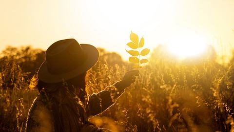 Person mit Hut vor einem besonnten Feld - Foto: iStock/ Scharfsinn86