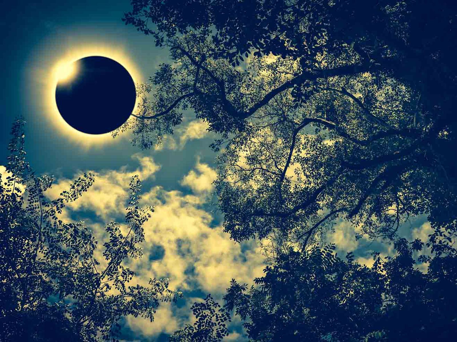 Das Horoskop der schwarzen Sonne Der Tag, der Ihr Leben ändert Astrowoche