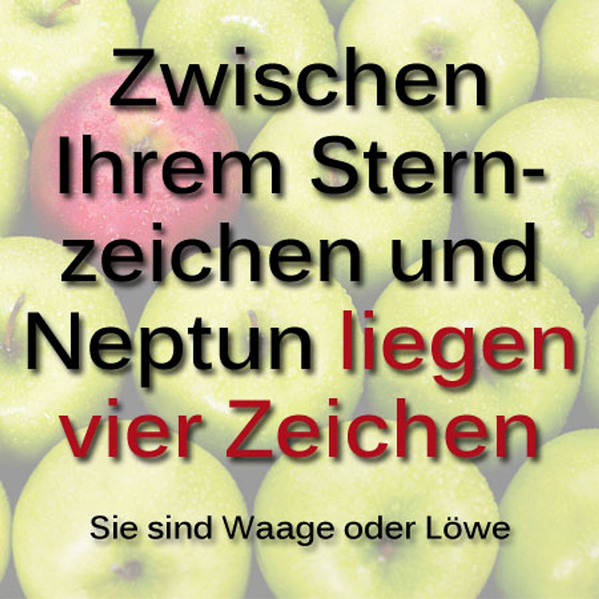 horoskop einzigartig vier zeichen