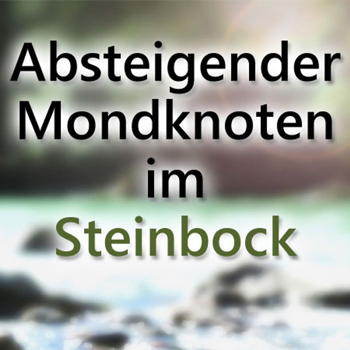 horoskop frueheres leben steinbock