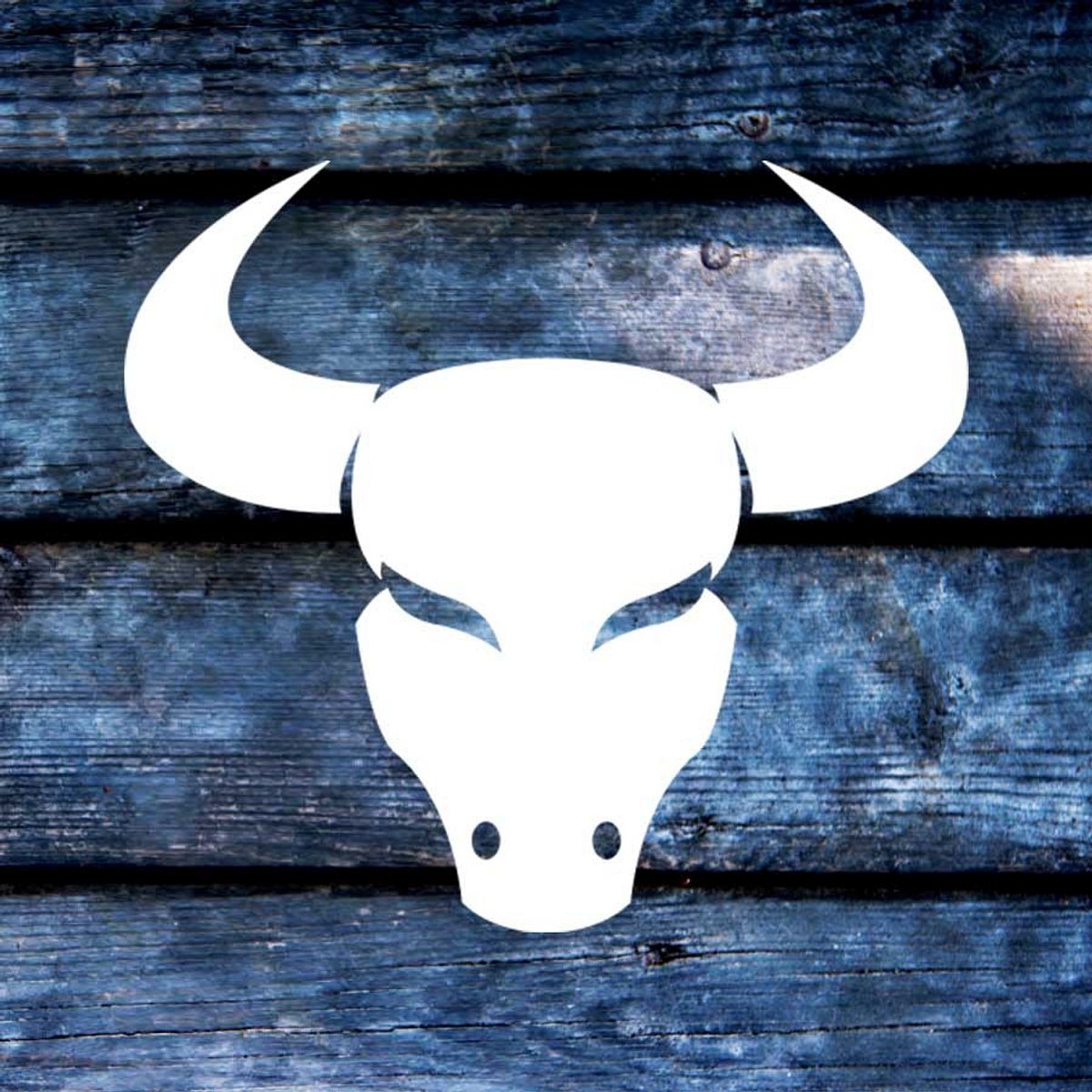 horoskop karma chance neubeginn stier