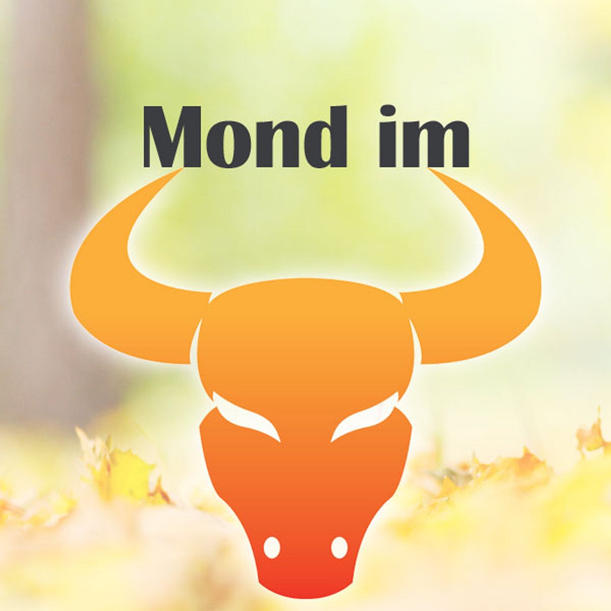 horoskop karma chance stier