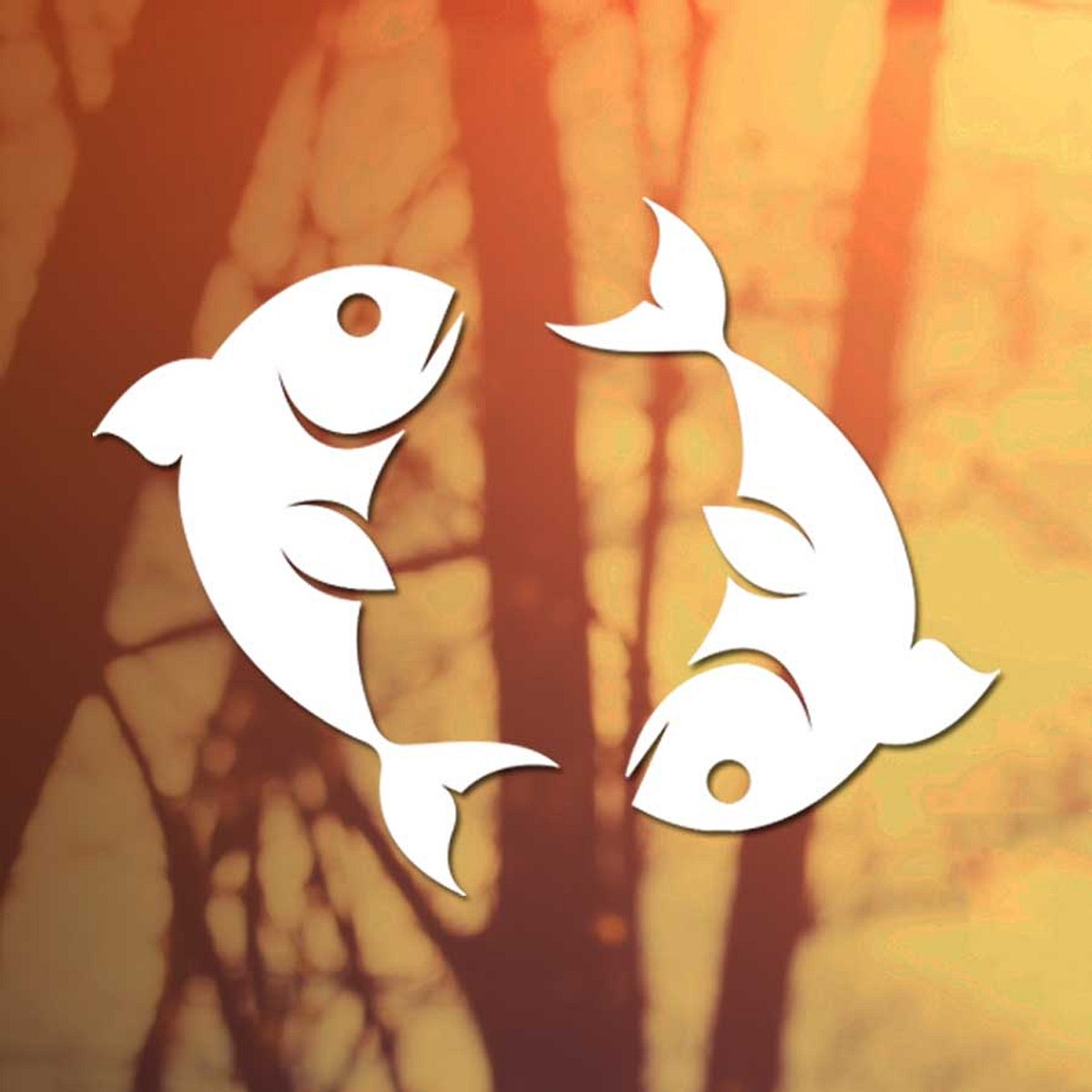 horoskop sonne beschenkt uns alle fische