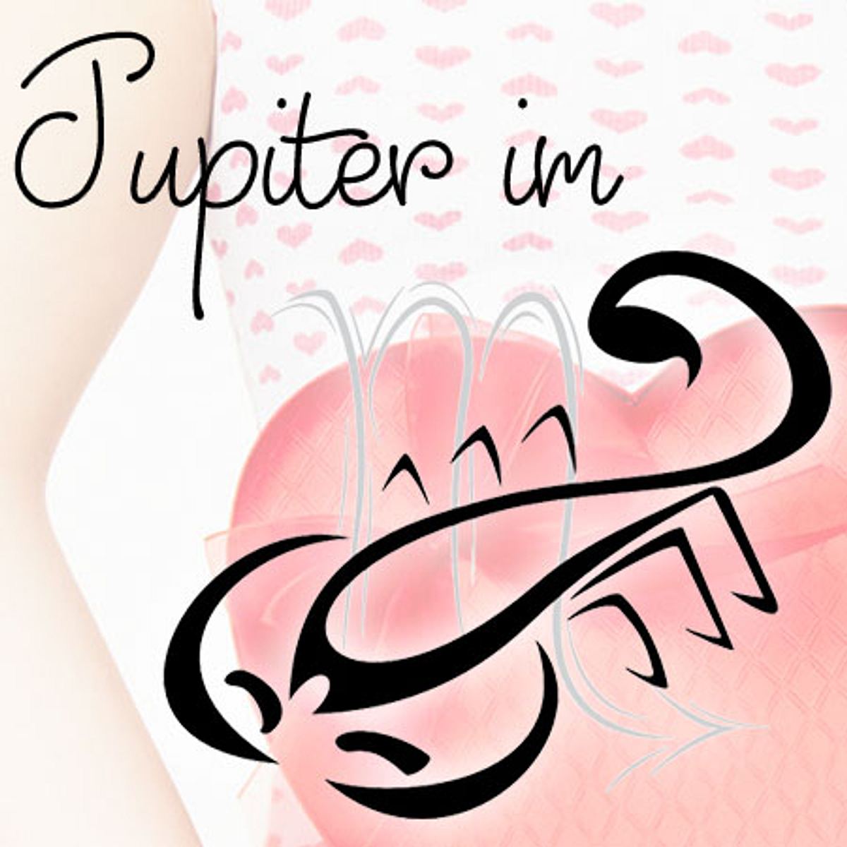 horoskop wer sie heimlich liebt skorpion