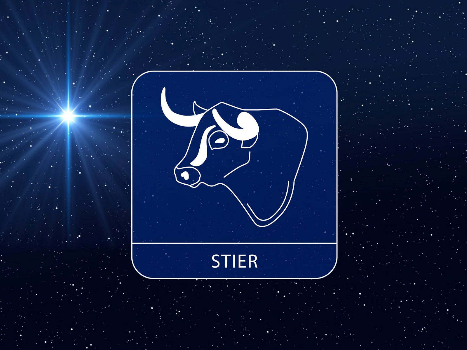 Horoskop Zum Besten Tag Des Jahres: Sternzeichen Stier | Astrowoche