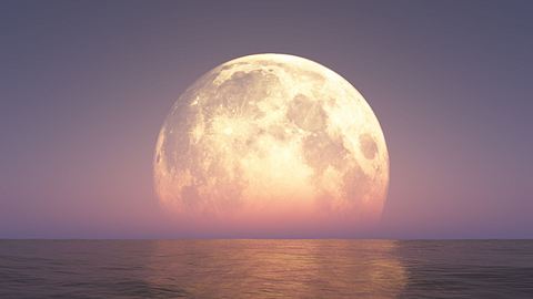 Vollmond steht in lila-farbenden Schimmer über dem Meer - Foto: aleksandar nakovski / AdobeStock